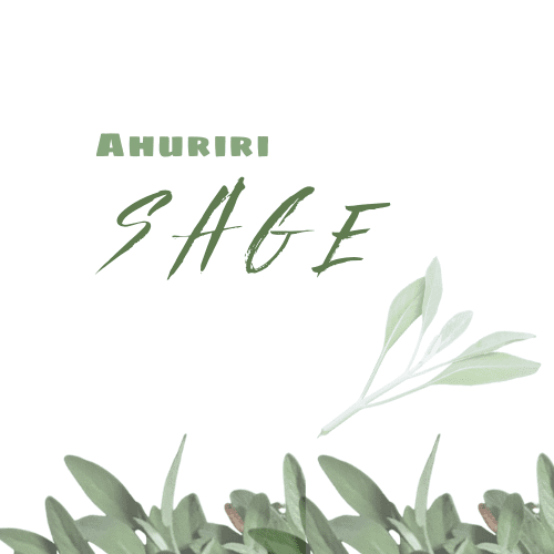 Ahuriri Sage Logo